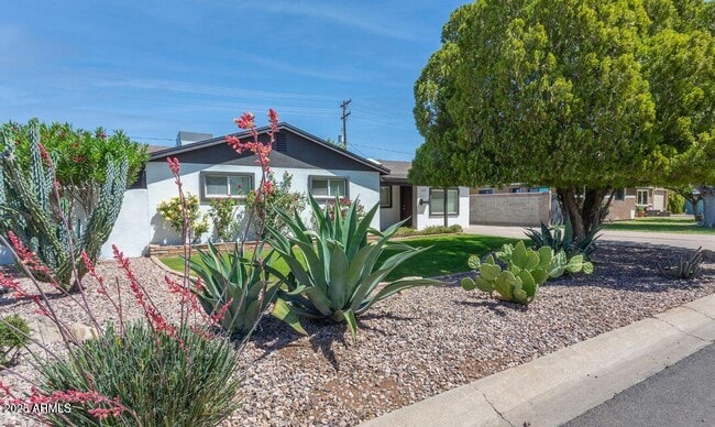 Photo - 3232 E Cypress St House