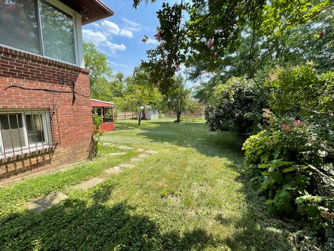 Very Large Private Back Yard
