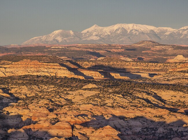 Photo - 736 W Rider Dr Unit ID1249898P