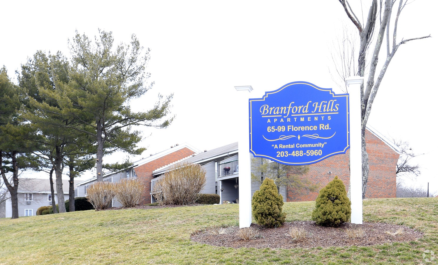 Photo - Branford Hills Apartments