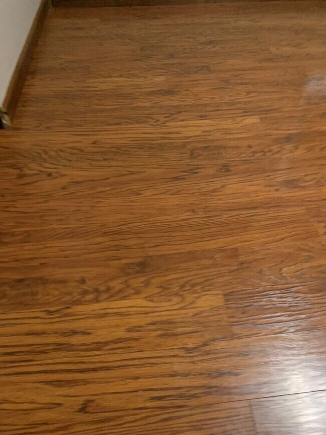 Photo - Near Fort Leonard Wood