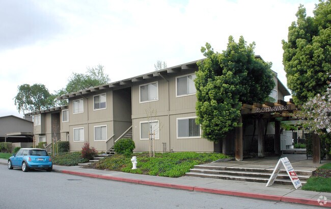 Photo - Willow Springs