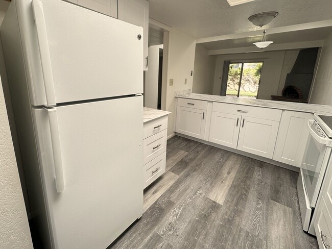 Photo - TOWNHOME - WILD TURKEY