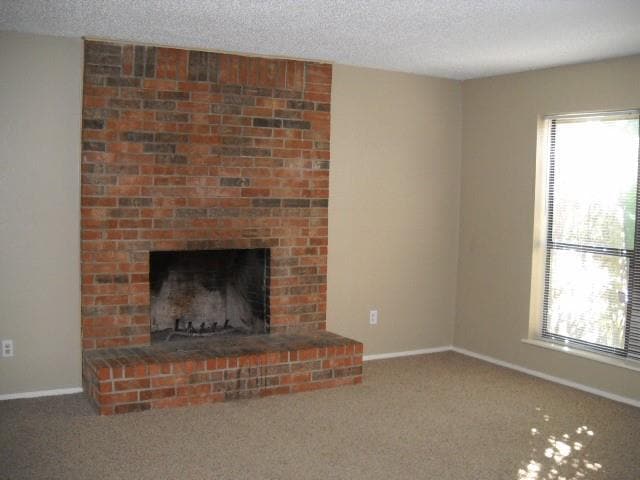 Photo - 925 Minter Ln
