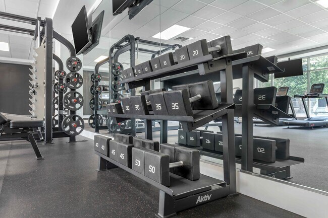 Weight Rack in 24-Hour Fitness Center
