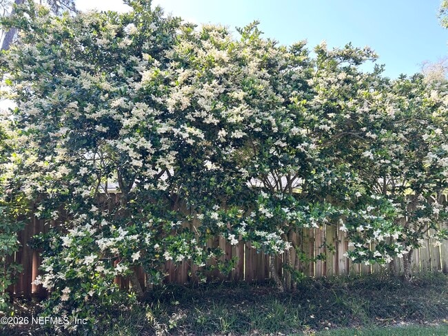 Photo - 108 Abalone Ln E