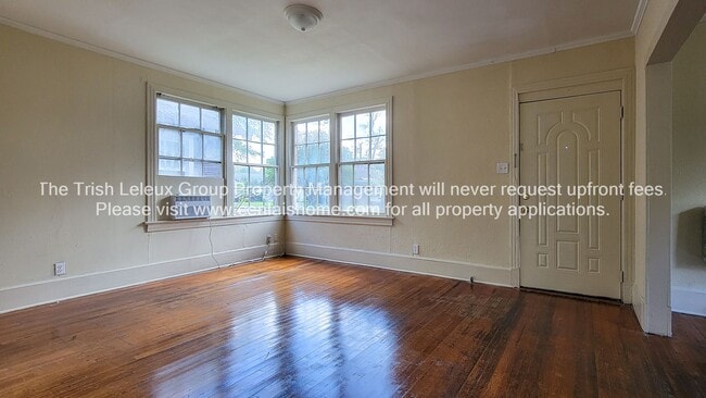 Photo - ** Large 1/1 ready now**