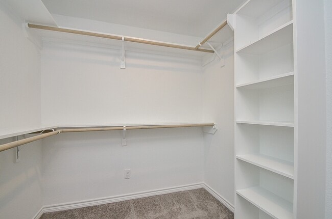 Building Photo - 12943 Andromeda Ct