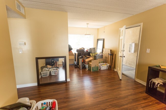 Photo - Palma Ceia Gardens