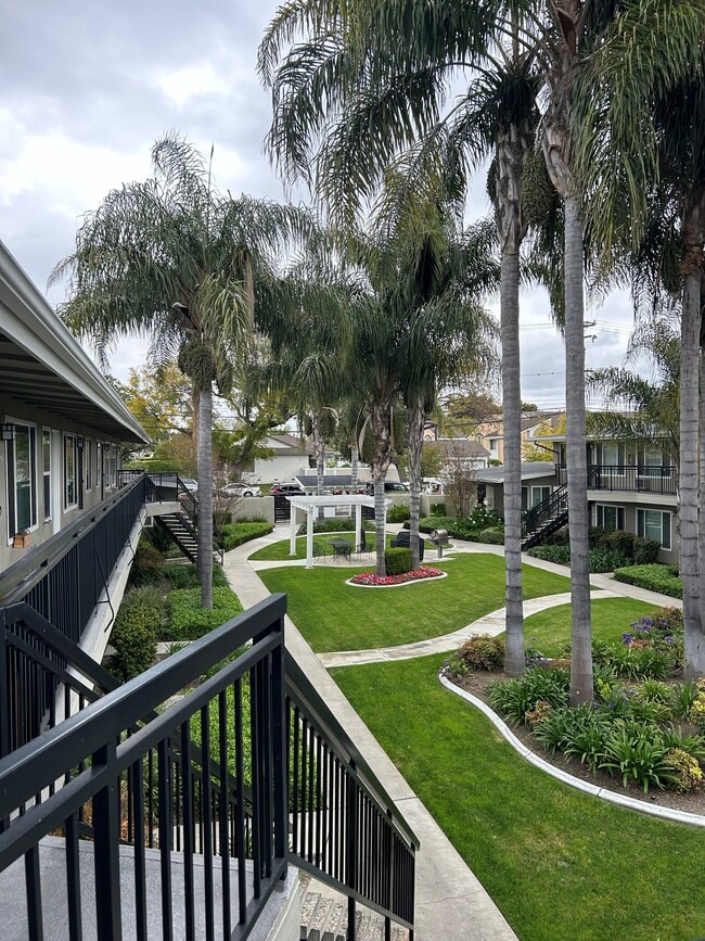 Back of courtyard