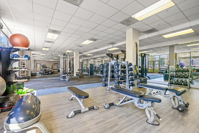 Photo - Pinnacle at MacArthur Place