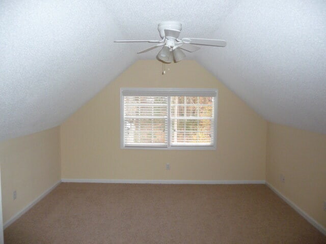 Photo - 510 McCauley St