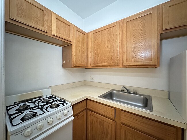 Photo - 1169 N Dearborn St Unit 514