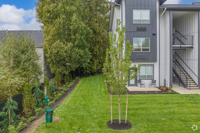 Dog Run - Anderson Court