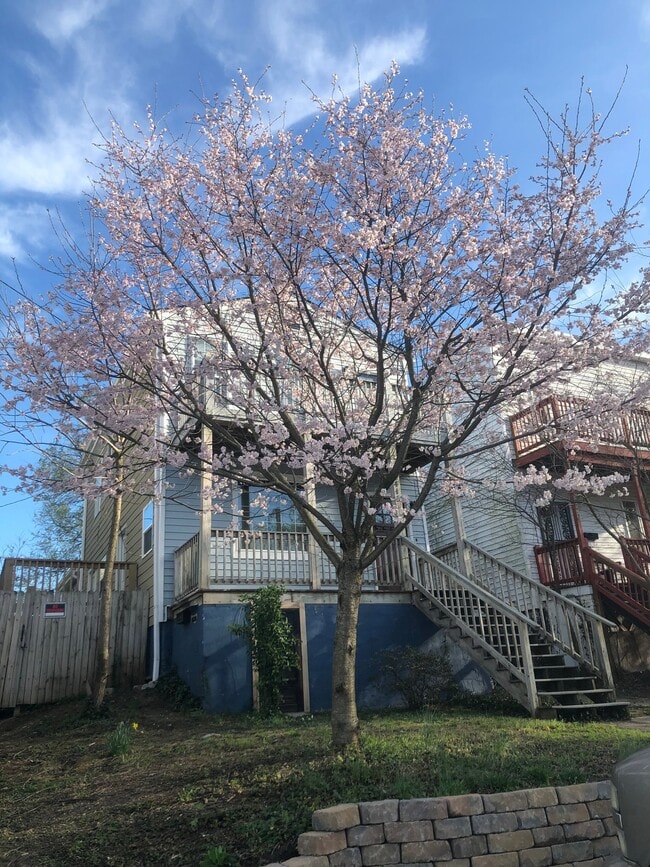 Photo - 2418 Perry St