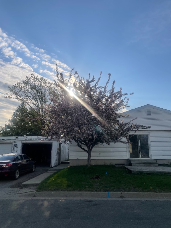 Photo - 2600 Calihan Ave NE Unidad A