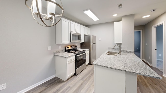 Lyra-Kitchen 1.jpg - Lyons Gate Apartments