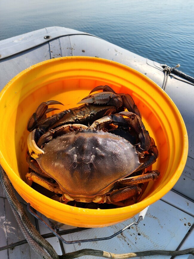 Photo - 19118 Soundview Dr NW