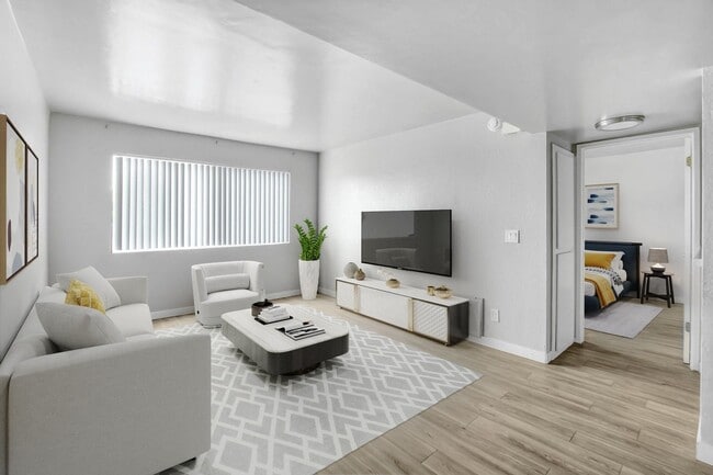 Photo - Valerio Palms