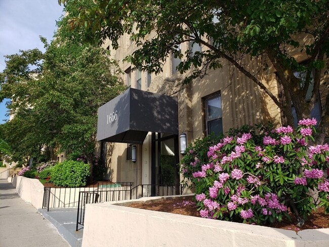 Building Photo - 1666 Commonwealth Ave Unit 36