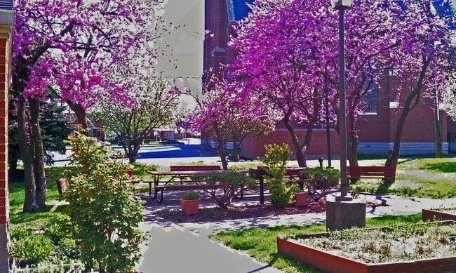 Photo - 1501 S Meridian St