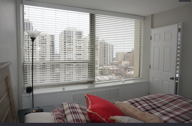 Photo - 1360 N Sandburg Terrace Unit 2204C