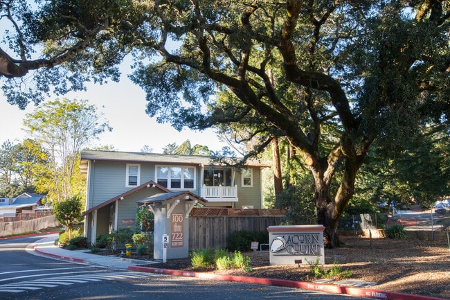 Acorn Court Apartments - Acorn Court Apartments