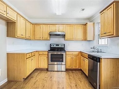 229 Amir Cir