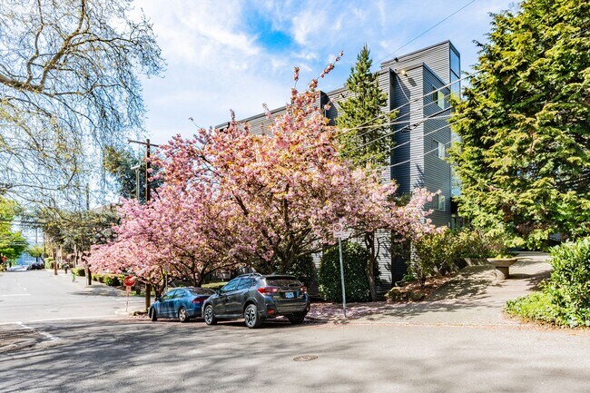 Building Photo - Lakeview Place Rental