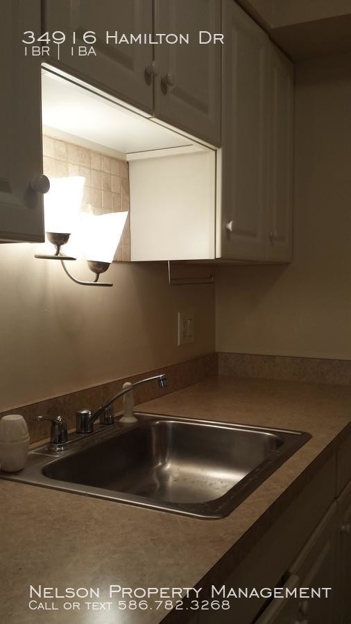 34916 Hamilton Dr Condo Condo for Rent in Fraser, MI