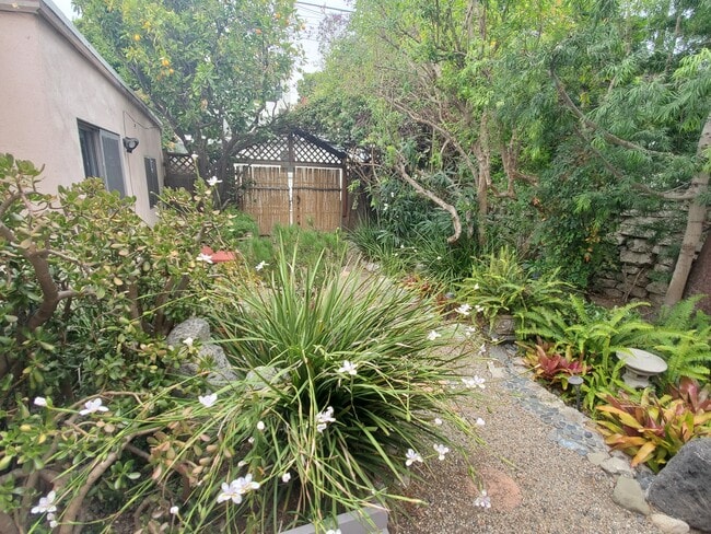 jardín trasero