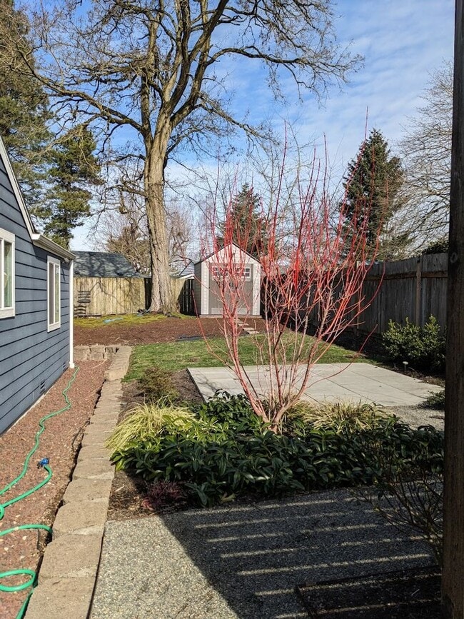 Photo - Lovely 3 Bedroom Skyway Rambler