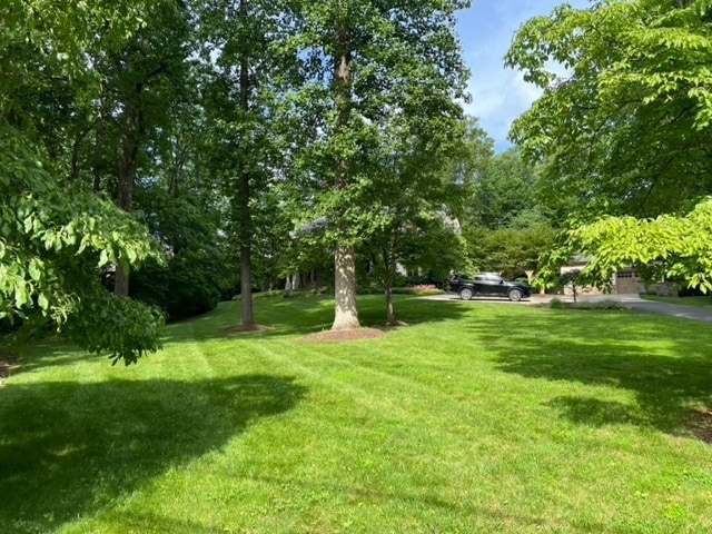 Photo - 8820 Burning Tree Rd