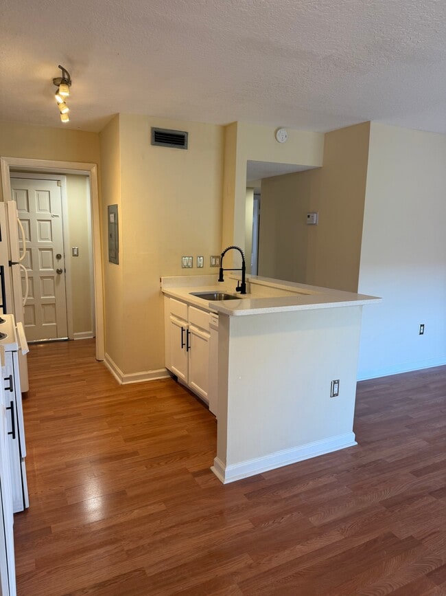 1171 Calle Del Rey Unit D