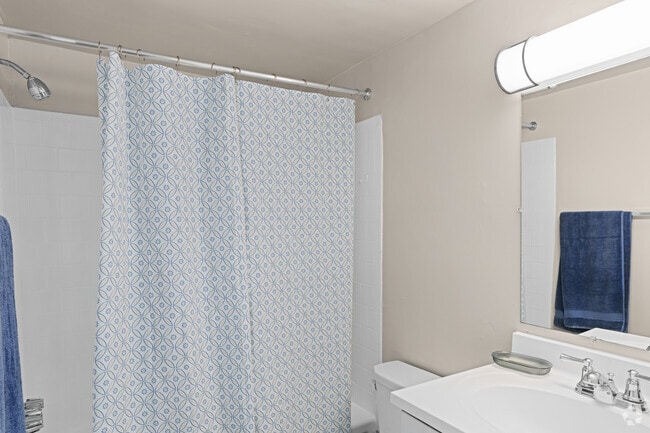 1BR, 1BA - 650SF - Bathroom