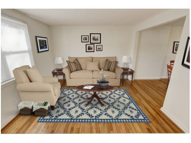 Living Room of The Albany and The Capital *Virtually staged - Adams Park Apartments