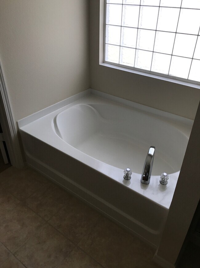 Photo - 12318 Downy Birch Rd