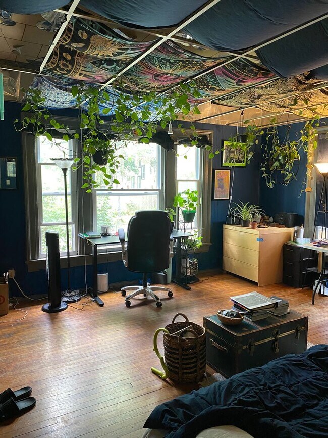 Photo - 560-1 Allen - Available 6/1/26 - Spacious ... Unidad Allen 560.1