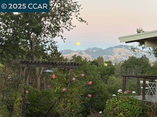 Photo - 20 Boulevard Ct