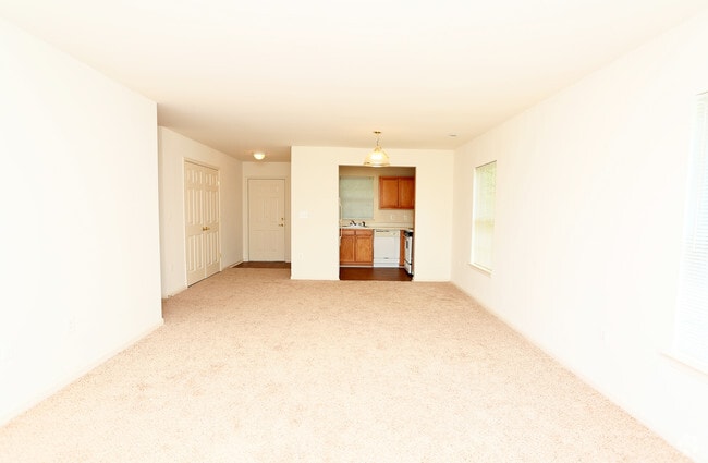 Photo - English Oaks