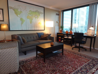 Building Photo - 480 N McClurg Ct Rental