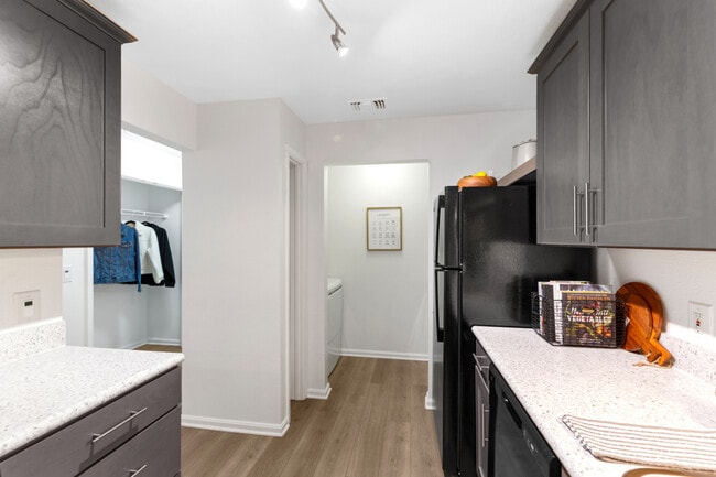 Photo - TGM Bull Run