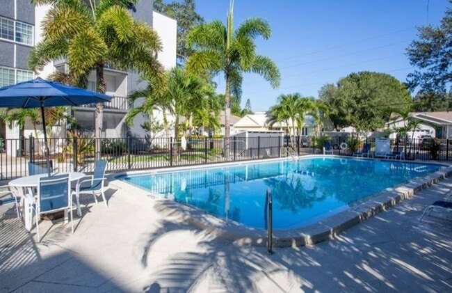 Pool and Sun Deck