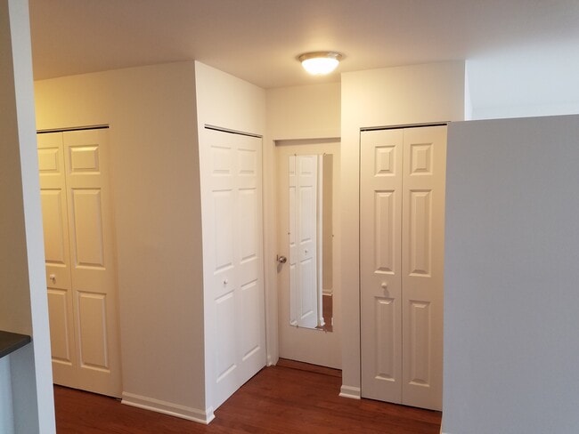 Photo - 1455 N Sandburg Terrace Unit 2007