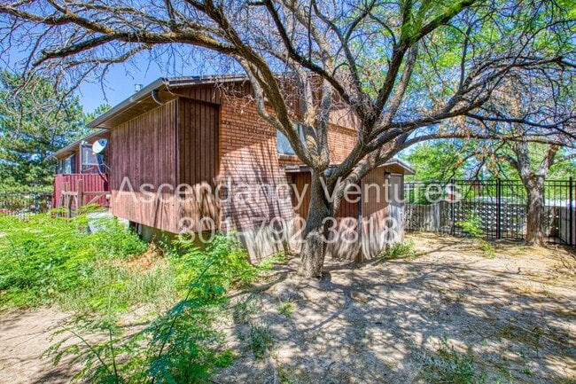 Photo - 706 Buzianis Way