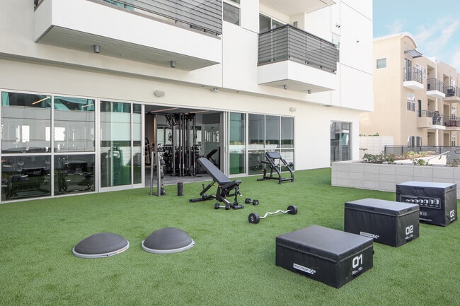 Outdoor 360 Turf