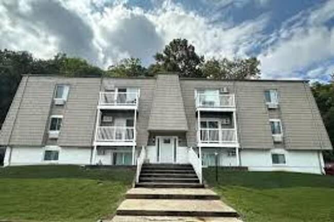 Newly Renovated Apartments