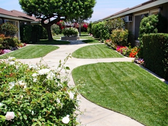 Americana Apartments - Americana Apartments