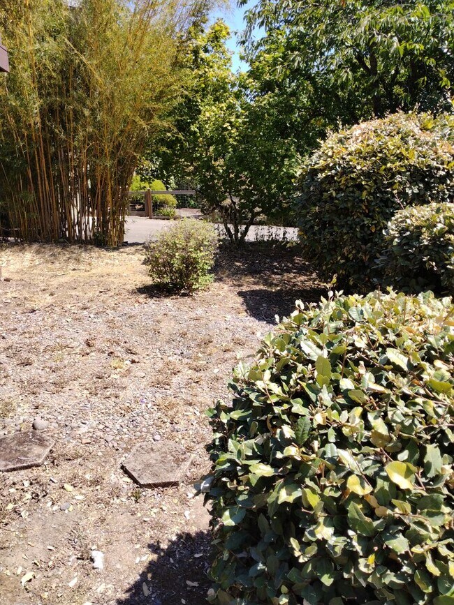 Photo - 2911-2913 Central Blvd Unidad 2913