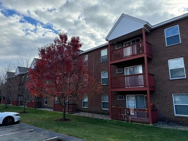 Building Photo - 98 Powers St Unit 237 Rental